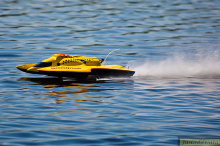 Enlarge photo 234