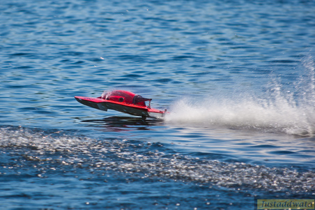 Enlarge photo 265