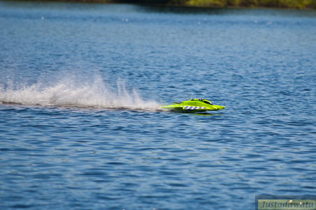 Enlarge photo 276