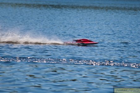 Enlarge photo 279