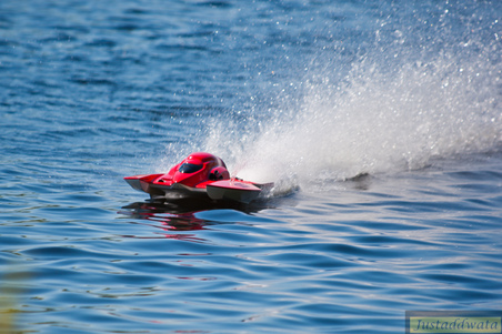 Enlarge photo 312