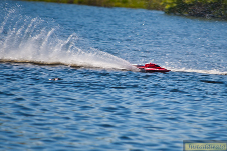 Enlarge photo 342
