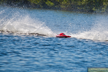 Enlarge photo 343