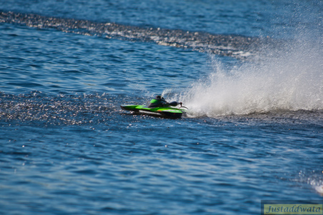 Enlarge photo 351