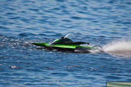 Enlarge photo 354