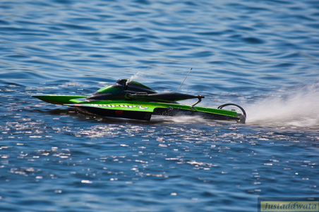 Enlarge photo 356