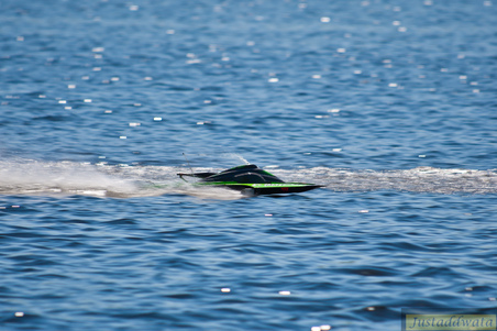 Enlarge photo 362