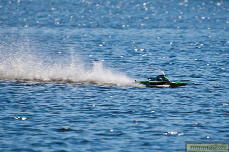Enlarge photo 369