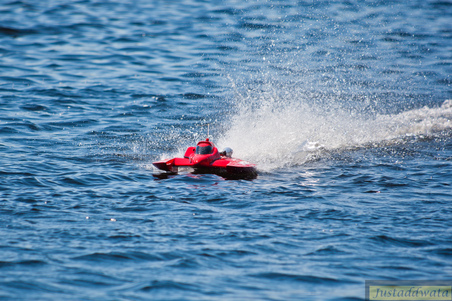 Enlarge photo 419