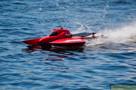 Enlarge photo 425