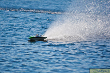 Enlarge photo 431