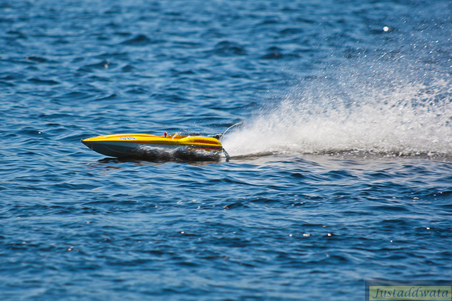 Enlarge photo 447