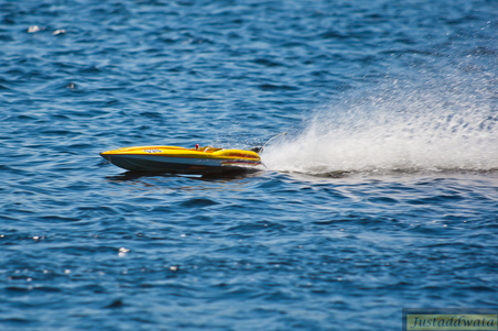 Enlarge photo 448
