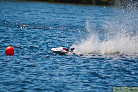 Enlarge photo 457