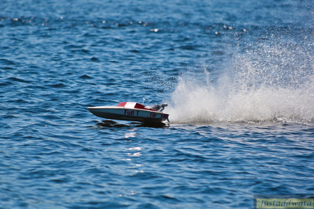 Enlarge photo 458