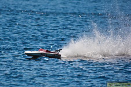Enlarge photo 459