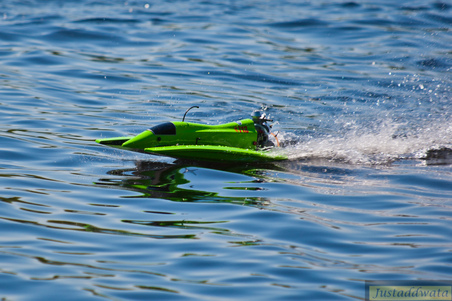 Enlarge photo 488