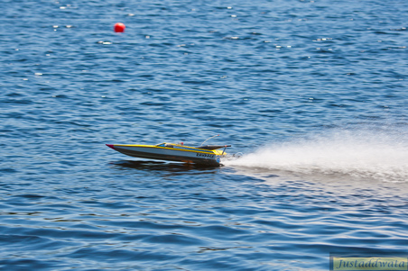 Enlarge photo 501