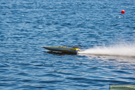 Enlarge photo 502