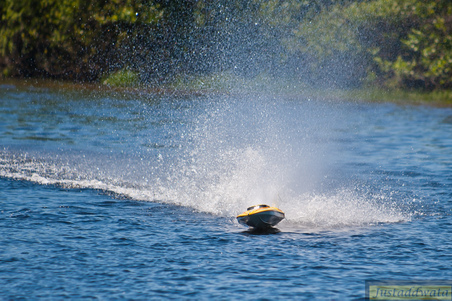 Enlarge photo 509