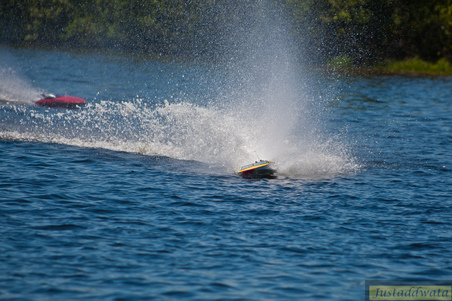 Enlarge photo 521