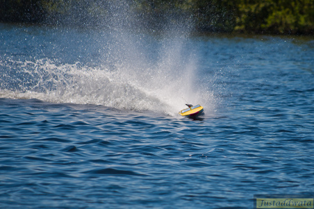 Enlarge photo 531