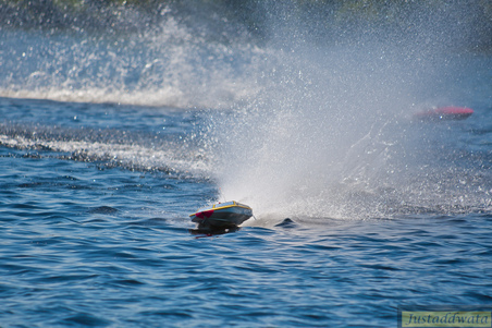 Enlarge photo 533