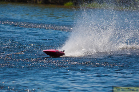 Enlarge photo 534
