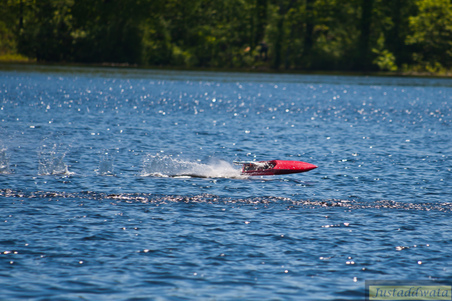 Enlarge photo 542