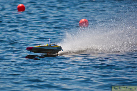 Enlarge photo 549