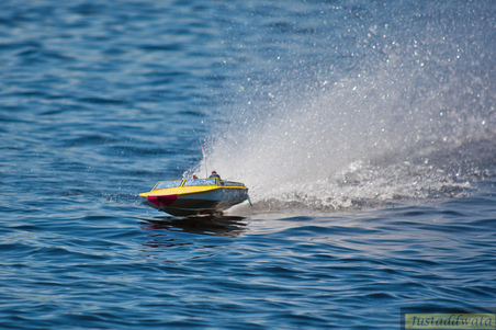 Enlarge photo 562