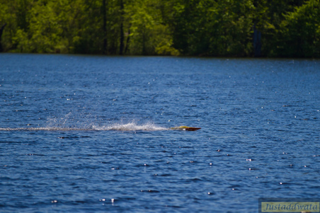 Enlarge photo 565
