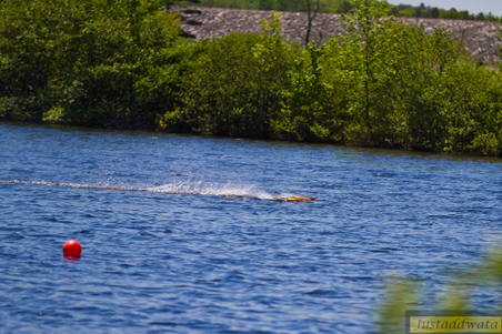 Enlarge photo 567