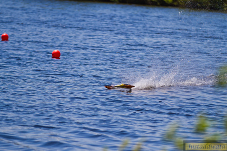 Enlarge photo 568