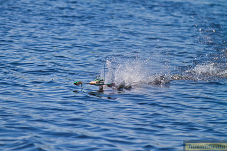 Enlarge photo 580
