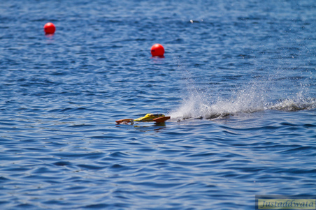 Enlarge photo 584
