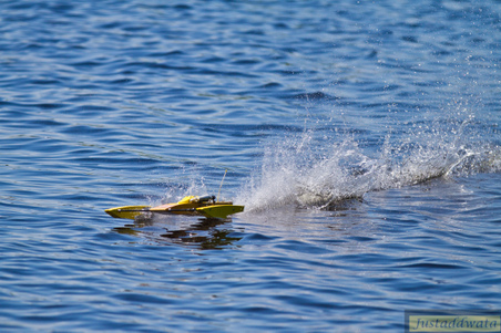 Enlarge photo 596