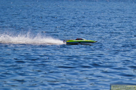 Enlarge photo 650