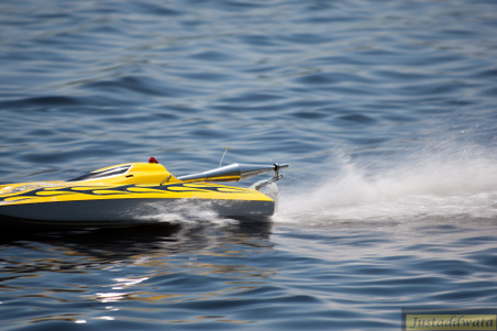 Enlarge photo 689