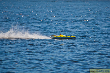 Enlarge photo 719