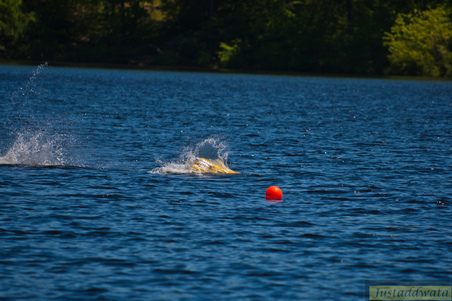 Enlarge photo 726