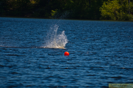 Enlarge photo 728