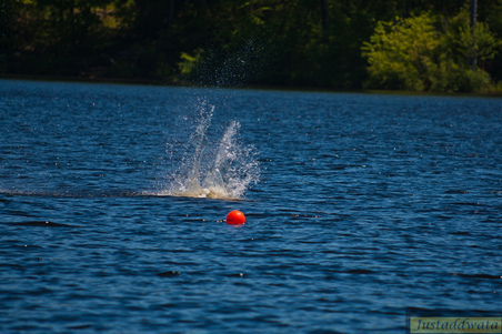 Enlarge photo 729