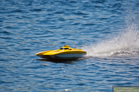 Enlarge photo 733
