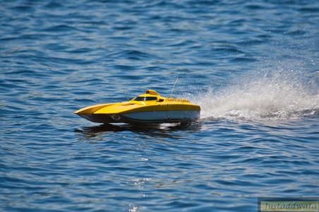 Enlarge photo 734
