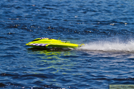 Enlarge photo 772