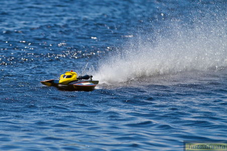 Enlarge photo 785