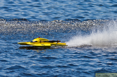 Enlarge photo 835