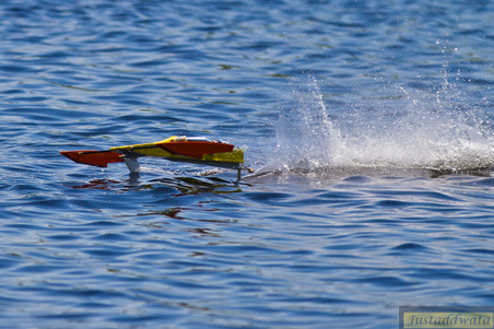 Enlarge photo 51