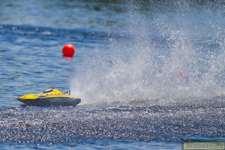 Enlarge photo 95